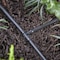 Raindrip Raindrip 1/4 in. Barbed Drip Irrigation Tee 10 pk 307010B - alternate 2